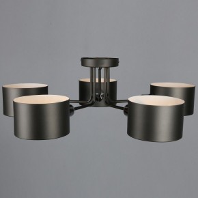 Люстра на штанге Omnilux Lisera OML-54507-05 в Миассе - miass.mebel24.online | фото 5