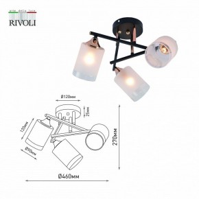 Люстра на штанге Rivoli Fiona Б0059259 в Миассе - miass.mebel24.online | фото