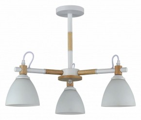 Люстра на штанге Rivoli Louise Б0060982 в Миассе - miass.mebel24.online | фото