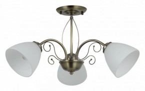 Люстра на штанге Rivoli Sue Б0060985 в Миассе - miass.mebel24.online | фото