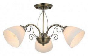 Люстра на штанге Rivoli Sue Б0060985 в Миассе - miass.mebel24.online | фото 2
