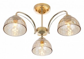 Люстра на штанге Rivoli Terri Б0060988 в Миассе - miass.mebel24.online | фото