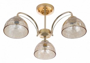 Люстра на штанге Rivoli Terri Б0060988 в Миассе - miass.mebel24.online | фото 2