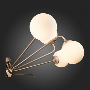 Люстра на штанге ST-Luce Redjino SLE106203-12 в Миассе - miass.mebel24.online | фото 7