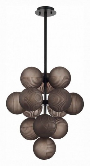Люстра на штанге ST-Luce Todo SL1184.403.13 в Миассе - miass.mebel24.online | фото