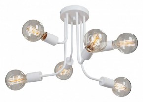 Люстра на штанге Vitaluce 4960 V4960-0/6PL в Миассе - miass.mebel24.online | фото