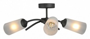 Люстра на штанге Vitaluce V2850 V2850-1/3PL в Миассе - miass.mebel24.online | фото