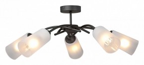 Люстра на штанге Vitaluce V2850 V2850-1/5PL в Миассе - miass.mebel24.online | фото