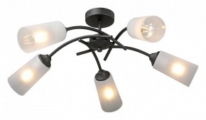 Люстра на штанге Vitaluce V2850 V2850-1/5PL в Миассе - miass.mebel24.online | фото 2