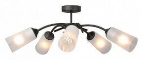 Люстра на штанге Vitaluce V2850 V2850-1/5PL в Миассе - miass.mebel24.online | фото 3