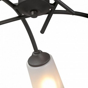 Люстра на штанге Vitaluce V2850 V2850-1/5PL в Миассе - miass.mebel24.online | фото 6