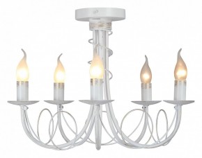 Люстра на штанге Vitaluce V3035 V3035-0/5PL в Миассе - miass.mebel24.online | фото 2