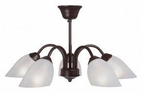 Люстра на штанге Vitaluce V3335 V3335-7/5PL в Миассе - miass.mebel24.online | фото
