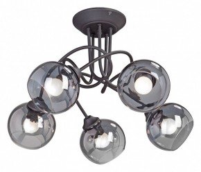 Люстра на штанге Vitaluce  V4309-1/5PL в Миассе - miass.mebel24.online | фото