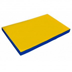 Мат гимнастический 2х1х0,05м цв. синий-желтый в Миассе - miass.mebel24.online | фото 1