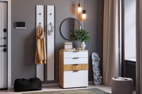 МЕБЕЛЬСОН К21 Прихожая в Миассе - miass.mebel24.online | фото