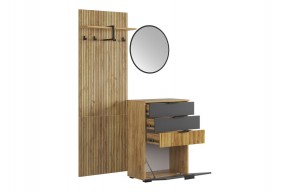 МЕБЕЛЬСОН К3 Прихожая в Миассе - miass.mebel24.online | фото 12