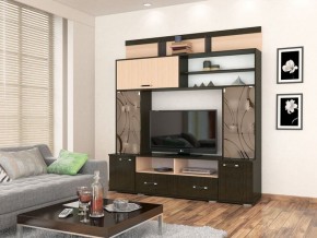 Мини-стенка ОГЦС-2 Оскар-18 дуб сонома-венге в Миассе - miass.mebel24.online | фото
