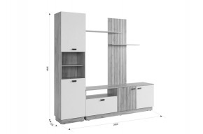 МОДИ К1 Гостиная (белое дерево) в Миассе - miass.mebel24.online | фото 2
