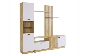 МОДИ К1 Гостиная (белое дерево) в Миассе - miass.mebel24.online | фото 6
