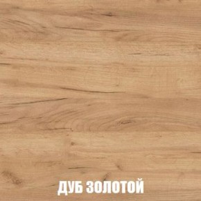 МСП-1 Шкаф 2-х створчатый (Дуб Золотой/Камень темный) в Миассе - miass.mebel24.online | фото 4