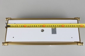 Накладной светильник Aployt Zoe APL.806.01.02 в Миассе - miass.mebel24.online | фото 9