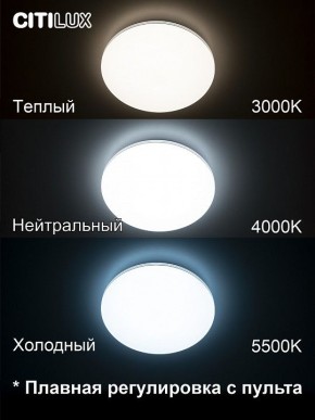 Накладной светильник Citilux Симпла CL714330G в Миассе - miass.mebel24.online | фото 4