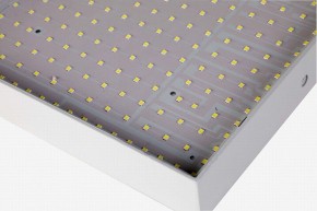 Накладной светильник Favourite Flashled 2066-30C в Миассе - miass.mebel24.online | фото 2