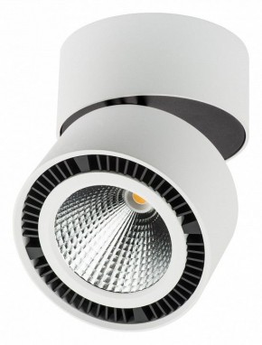 Накладной светильник Lightstar Forte Muro 213830 в Миассе - miass.mebel24.online | фото