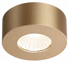 Накладной светильник Odeon Light Bene 4284/7CL в Миассе - miass.mebel24.online | фото 4