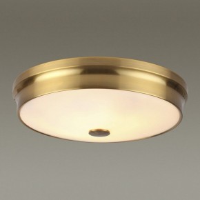 Накладной светильник Odeon Light Marsei 4824/4C в Миассе - miass.mebel24.online | фото 2