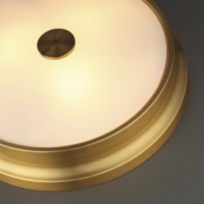Накладной светильник Odeon Light Marsei 4824/4C в Миассе - miass.mebel24.online | фото 5