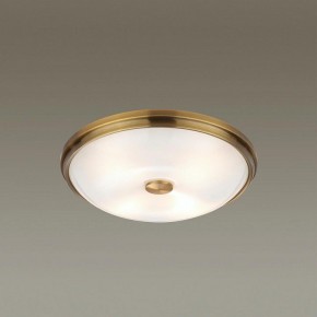 Накладной светильник Odeon Light Pelow 4956/4 в Миассе - miass.mebel24.online | фото 2