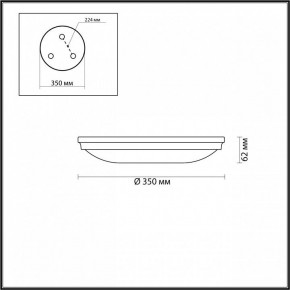 Накладной светильник Odeon Light Pelow 4956/4 в Миассе - miass.mebel24.online | фото 3