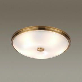 Накладной светильник Odeon Light Pelow 4956/5 в Миассе - miass.mebel24.online | фото 2