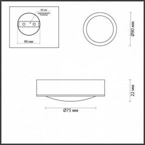 Накладной светильник Odeon Light Reus 4342/7CL в Миассе - miass.mebel24.online | фото 4