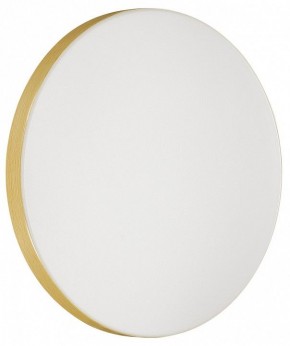 Накладной светильник Sonex Smalli 3066/AL в Миассе - miass.mebel24.online | фото 2