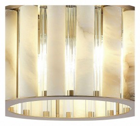 Накладной светильник ST-Luce Delight SL1516.302.06 в Миассе - miass.mebel24.online | фото 4