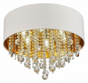 Накладной светильник ST-Luce Lacchia SL1350.502.06 в Миассе - miass.mebel24.online | фото 3