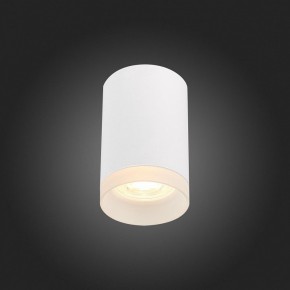 Накладной светильник ST-Luce ST100 ST100.502.01 в Миассе - miass.mebel24.online | фото 4