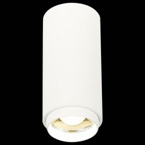 Накладной светильник ST-Luce Zoom ST600.542.10 в Миассе - miass.mebel24.online | фото 3