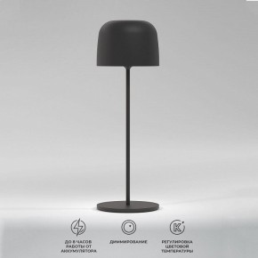 Настольная лампа декоративная Elektrostandard Bitty a069002 в Миассе - miass.mebel24.online | фото 2