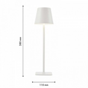 Настольная лампа декоративная F-promo Pyari 4614-1T в Миассе - miass.mebel24.online | фото 3