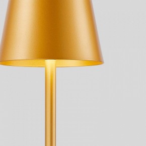 Настольная лампа декоративная F-promo Pyari 4616-1T в Миассе - miass.mebel24.online | фото 5