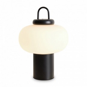 Настольная лампа декоративная Freya Take FR6175TL-L10B в Миассе - miass.mebel24.online | фото
