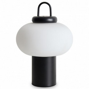 Настольная лампа декоративная Freya Take FR6175TL-L10B в Миассе - miass.mebel24.online | фото 2