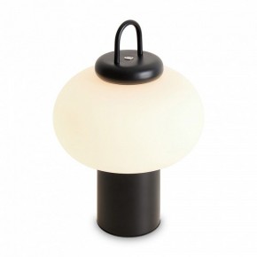 Настольная лампа декоративная Freya Take FR6175TL-L10B в Миассе - miass.mebel24.online | фото 3