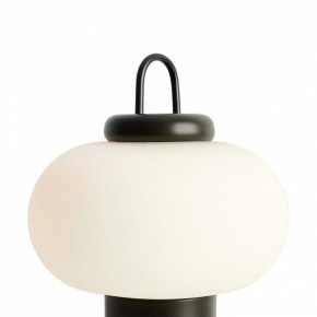 Настольная лампа декоративная Freya Take FR6175TL-L10B в Миассе - miass.mebel24.online | фото 5