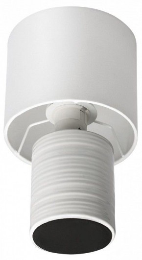 Настольная лампа декоративная Lumion Tuala 8144/1Т в Миассе - miass.mebel24.online | фото 3
