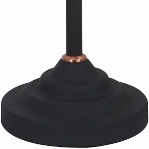 Настольная лампа офисная Arte Lamp Braccio A2054LT-1BK в Миассе - miass.mebel24.online | фото 4
